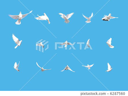 set of white doves flying isolated on blue set of white doves flying isolated on blue 6287560