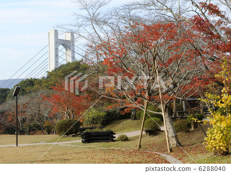 Shin Sosaki橋和秋葉 6288040