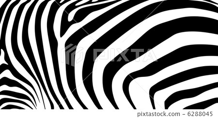 斑馬紋D. 6288045