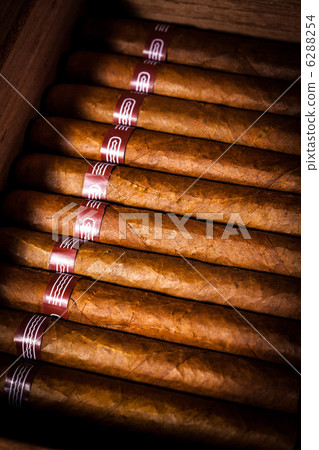 Close up of cigars in open humidor box 6288254