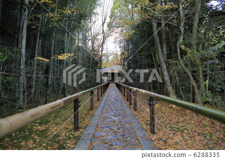 Autumn Takasagoin 6288335