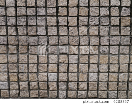 針爬網塊圍欄 針爬網塊圍欄 6288837