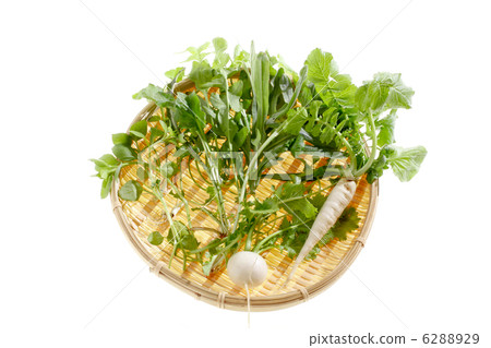 Seven herbs of spring Seven herbs of spring 6288929