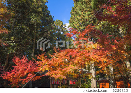 Fall of Akayama Zen master 6289813