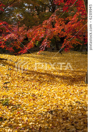 Fall of Eikendo 6289945