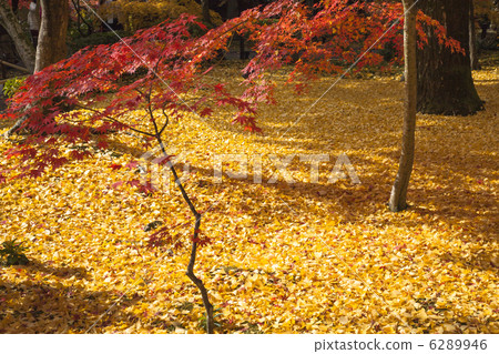 Fall of Eikendo 6289946