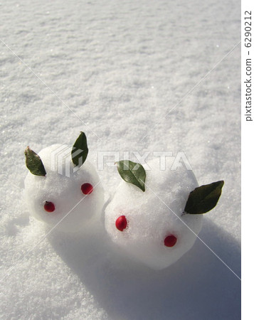 一隻雪兔 6290212