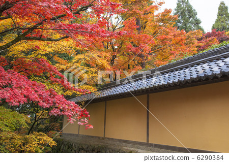 Miyama東湖的Saige-ji寺廟 6290384