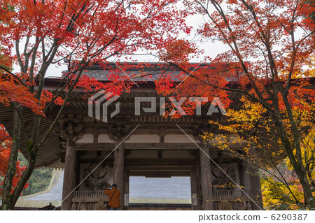 Miyama東湖的Saige-ji寺廟 6290387