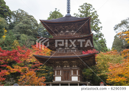 Miyama東湖的Saige-ji寺廟 6290399