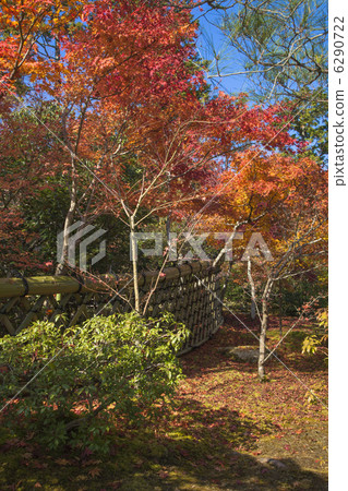 Kojoji花園的秋天 6290722