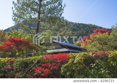 Fall of Kojoji garden 6290723