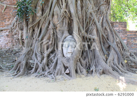 Ayutthaya ruins tour 6291000
