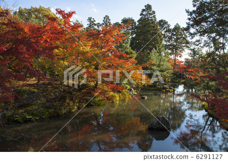 參議院議員的垮台 6291127