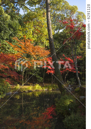 參議院議員的垮台 6291128