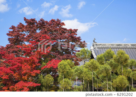 Autumn of Genkoan 6291202