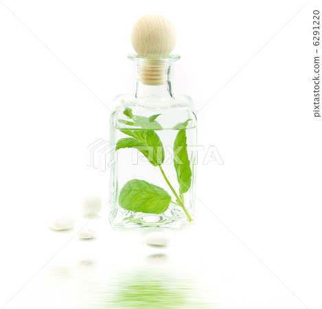 Jar with fresh leaves Jar with fresh leaves 6291220