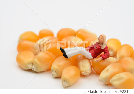 玉米 玉米 6292211