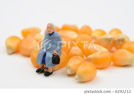 玉米 玉米 6292212
