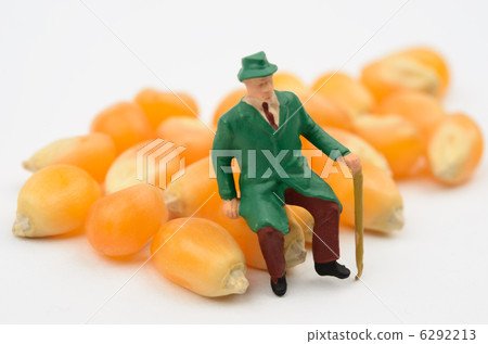 玉米 玉米 6292213