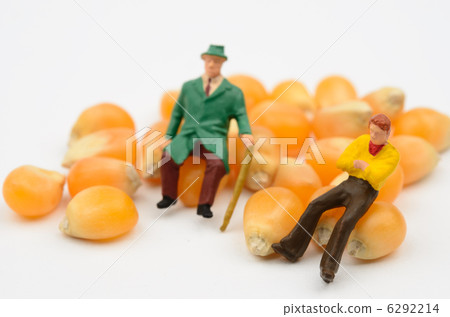 玉米 玉米 6292214