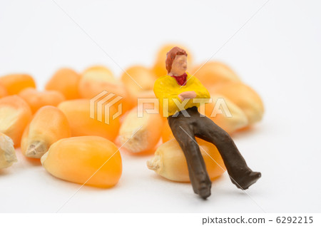 玉米 玉米 6292215