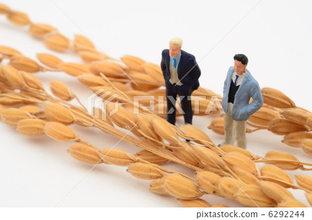 飯 飯 6292244