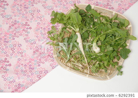 七種春天的草藥 6292391