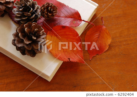 秋天的形象 6292404