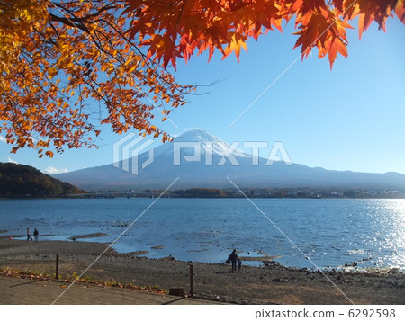 Autumn leaves Fuji 6292598
