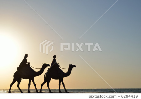 Moon's desert camel statue Sunrise 6294419