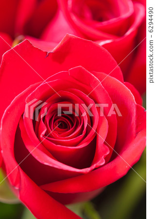 background of a beautiful bouquet of red roses 6294490