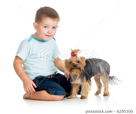 smiling child playing with a puppy dog isolated on white 6295300