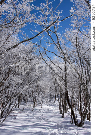 雪山路徑 雪山路徑 6295784