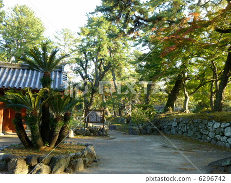 城堡在津公園·公園內 城堡在津公園·公園內 6296742