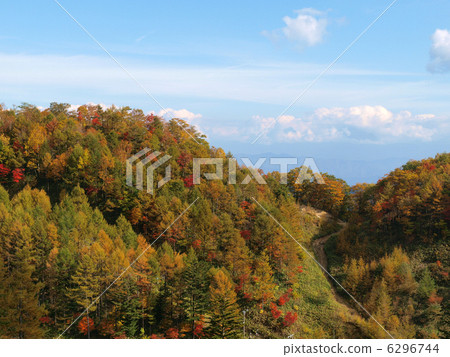 在Heavens合作夥伴 在Heavens合作夥伴 6296744