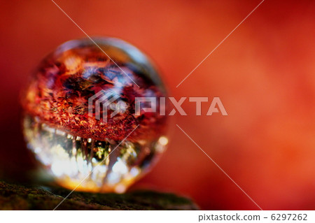 秋葉的旋律 6297262