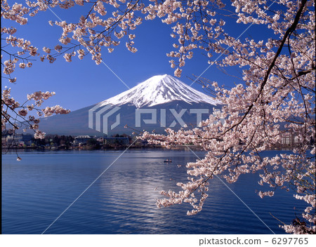 Sakura and Mt. Fuji 6297765