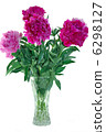 flower peony in  vase 6298127