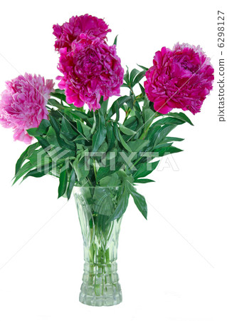 flower peony in vase flower peony in vase 6298127