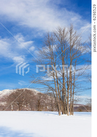 高原的冬天風景 高原的冬天風景 6298529