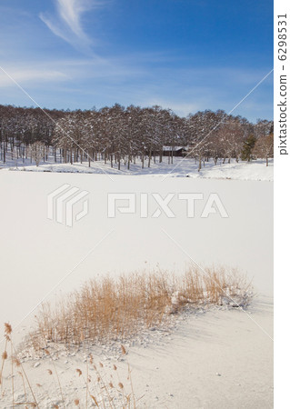 高原的凍湖 6298531