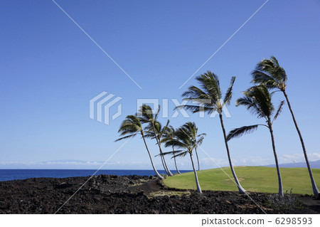 Golf resort on Hawaii island Golf resort on Hawaii island 6298593