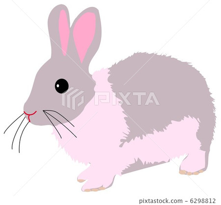 Rabbit Rabbit 6298812