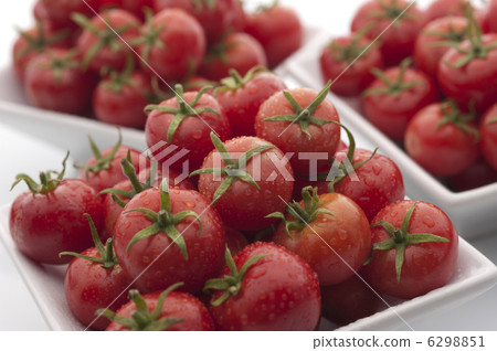  櫻桃西紅柿 6298851