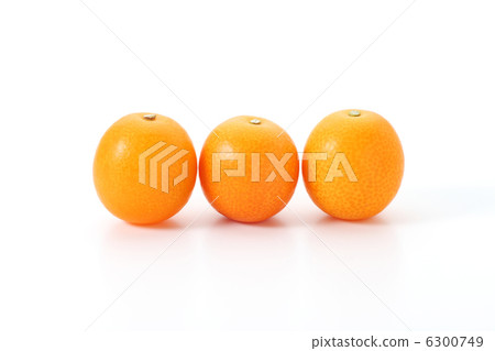 Kumquat 6300749