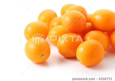 金橘 6300751