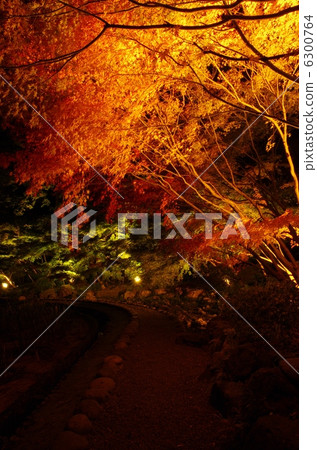 德川花園照明 6300764