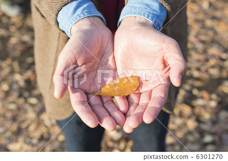 Senior couple and grandchild 6301270