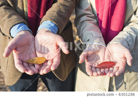 Senior couple and grandchild 6301286